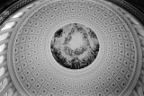 Cap Rotunda W/H